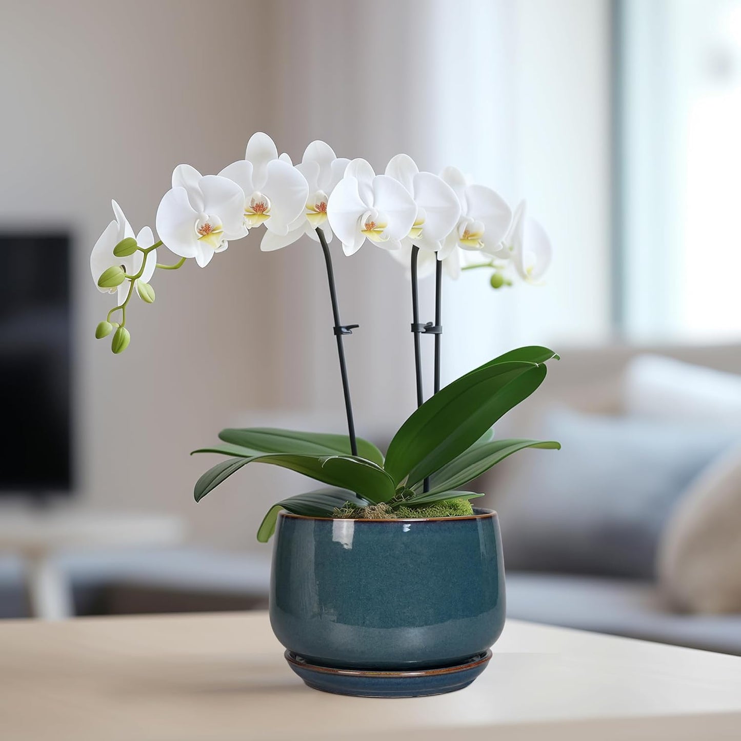 G EPGardening Ceramic Planter 6 Inch - Round Modern Ceramic Pot for Plants with Drainage and Plant Tray Indoor for Flower, Apartment Decor, Housewarming Gifts New Home, Retro Blue