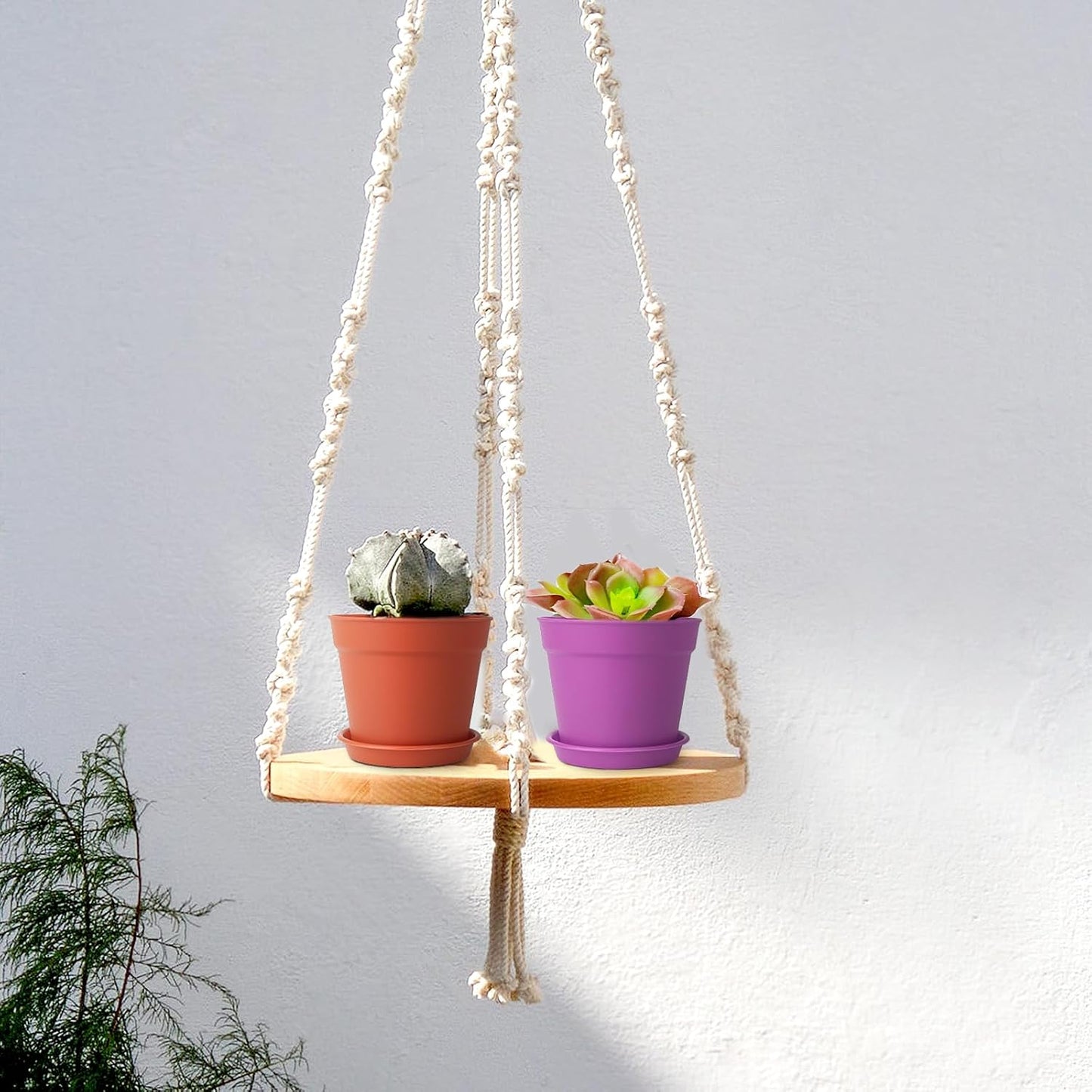 4 inch Plant Pots, 28 Pack Small Plastic Planters with Drainage Holes and Saucers for Flowers Plants, Succulents, Seed Starting Pots, Colorful