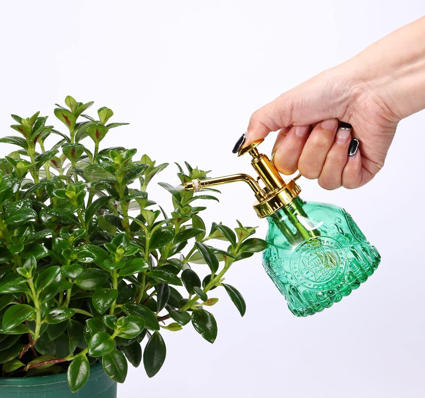 Glass Plant Mister Spray Bottle, 6.5" Green Glass Water Spray Bottle with Gold Top Pump Small Watering Can, Small Plant Sprayer Mister for Indoor Outdoor House, Green+Gold (Green+Gold D)