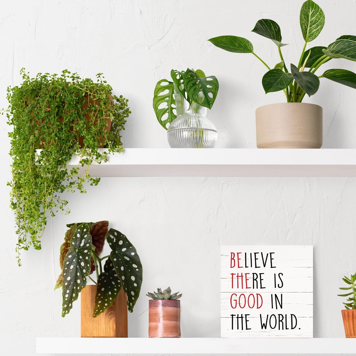Positive Wood Signs, Inspirational Wooden Table Signs, Farmhouse Shelf Decoration, Rustic Home Decor for Living Room Bedroom, Cafe Bar Decor, Believe There is Good in the World Sign, White