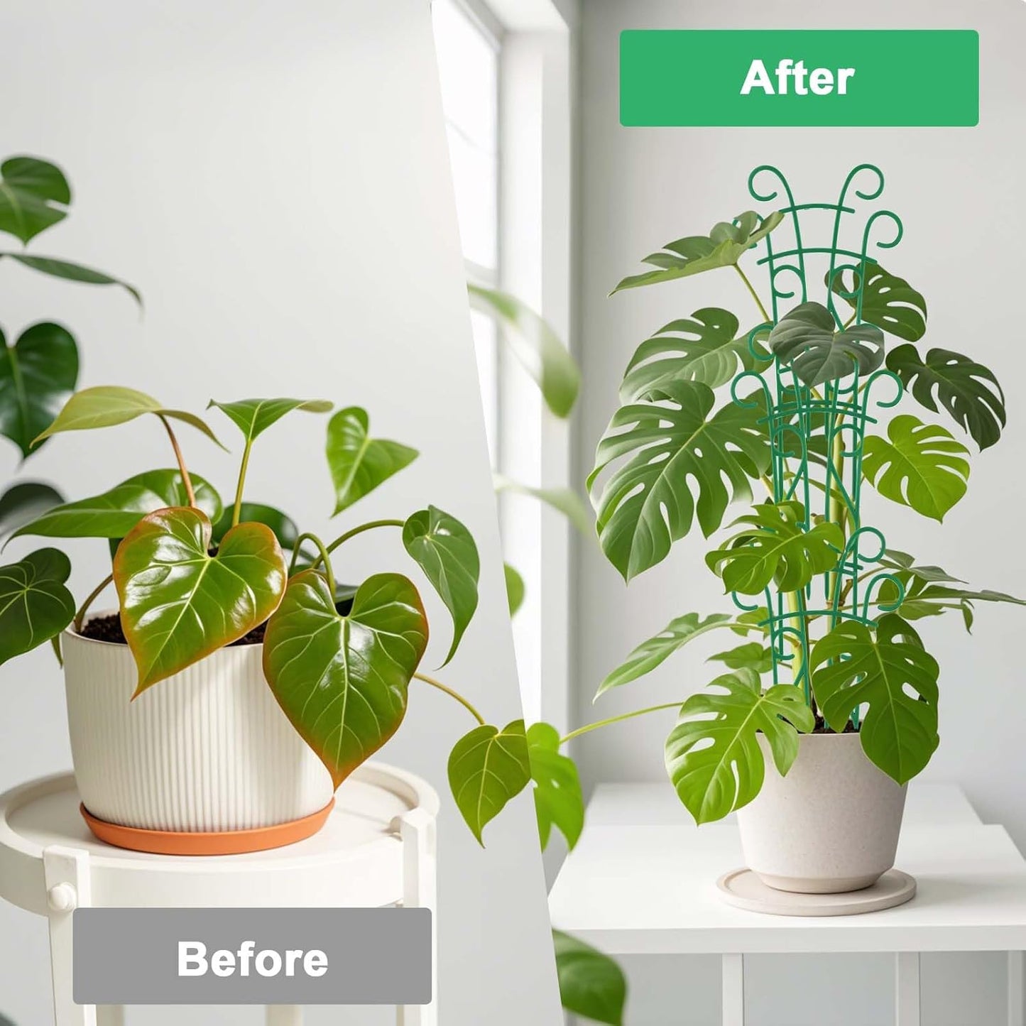 Indoor Plant Trellis for Climbing Plants, 8 Pack Garden Trellis for Potted Plants Stackable Plant Trellis Plant Stakes for Indoor Plants Accessories Flower Plant Support