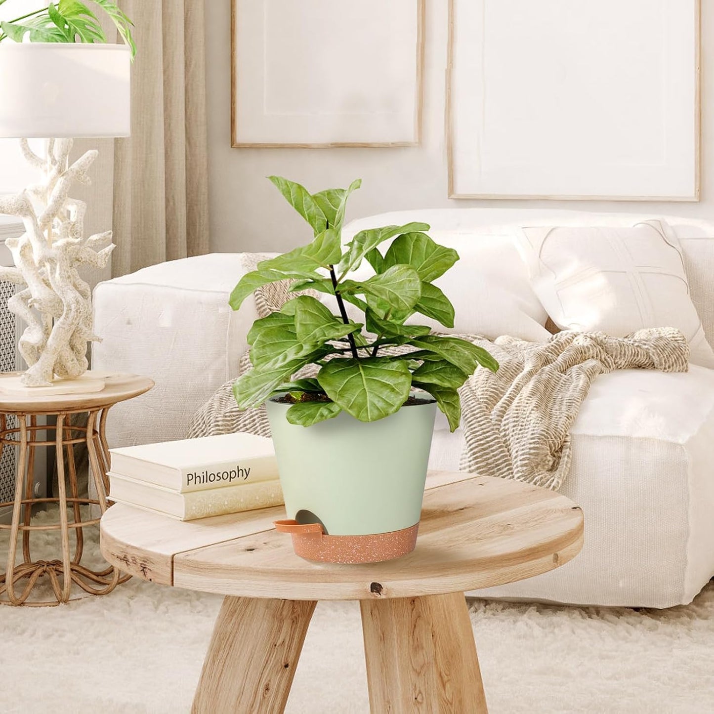 Self Watering Pots, Flower Planting Pots for Indoor Outdoor Plants, African Violet, Flowers, Succulent,Cactus Plant Pots with Drainage Holes Green Plastic Pots Gift Idea For Lazy people House Decor