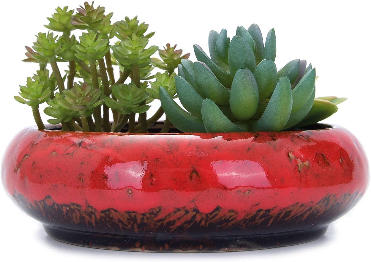 VanEnjoy 7.1 inch Round Large Shallow Succulent Ceramic Glazed Planter Pots with Drainage Hole, Bonsai Pots Garden Decorative Cactus Stand Flower Container (Red)