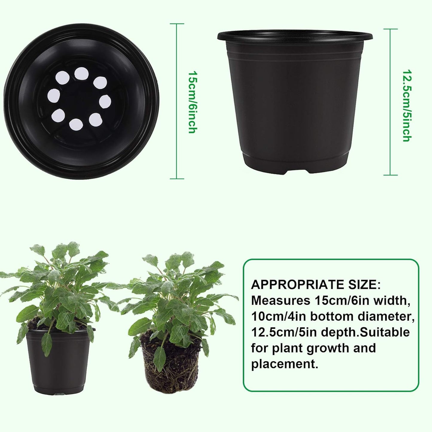 Augshy 50 Pcs 0.5 Gallon Black Plastic Plant Nursery Pots 6 Inches Seed Starting Pots Containers with 50 Labels