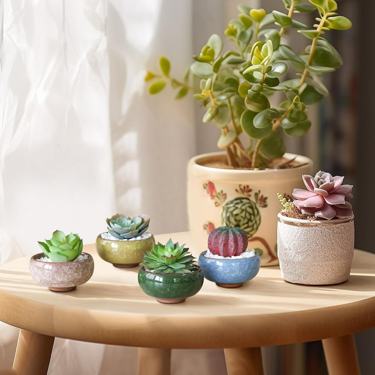 T4U 2.5 Inch Small Ceramic Succulent Planter Pot with Drainage Hole Set of 12, Ice Crack Glaze Plant Container for Cactus, Plant Lover Gifts for Women Mom Aunt Home Office Decor