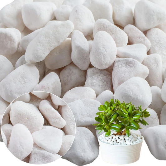 11 Lbs Natural River Rocks for Plants 1.6-2.5 inches Large White Landscaping Garden Stones White Aquarium Gravel Decorative Pebbles for Indoor Outdoor Planters Home Decor