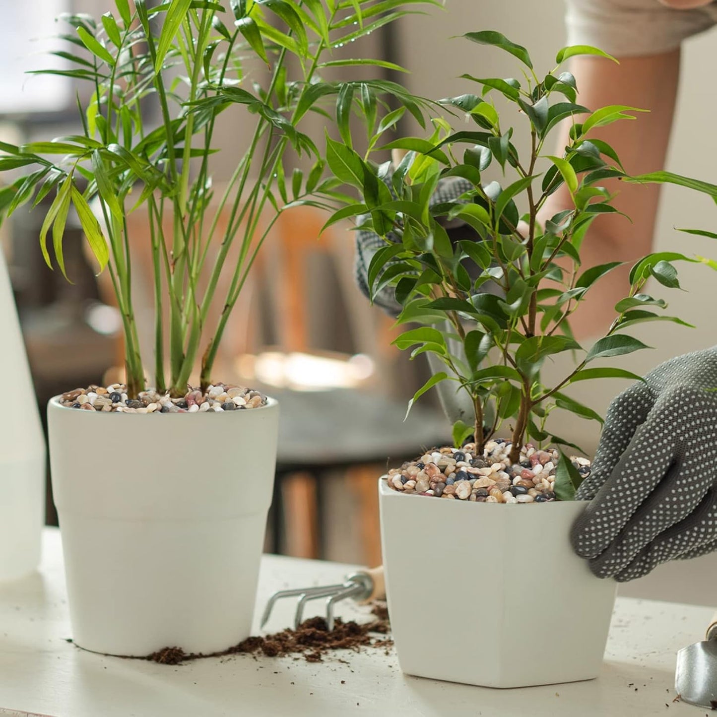 GASPRO 5 Pound Pebbles for Indoor Plants, 3/8 Inch Decorative Rocks for Vase, Succulents, Highly Polished, Mixed Color