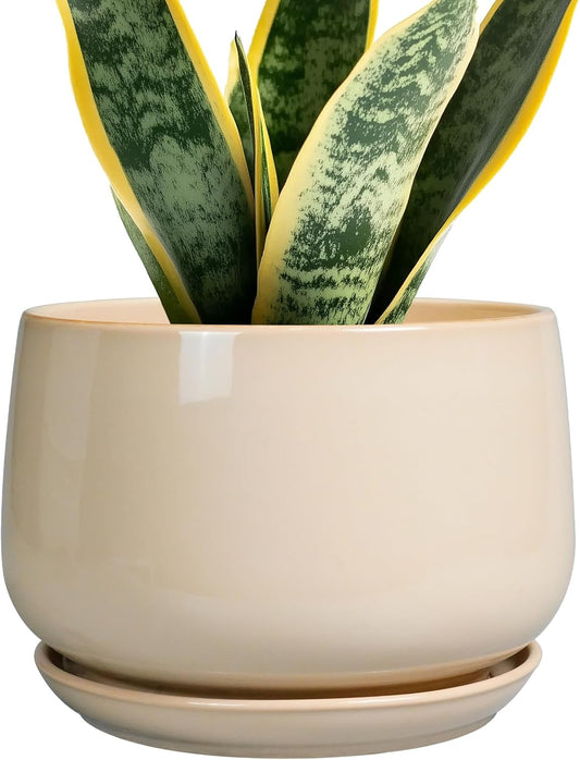 G EPGardening Ceramic Planter - 7 Inch Plant Pots with Drainage and Ceramic Tray, Flower Pots for Indoor Plants, Round Outdoor Planter, Room Decor, Gifts for Plant Lovers, Beige