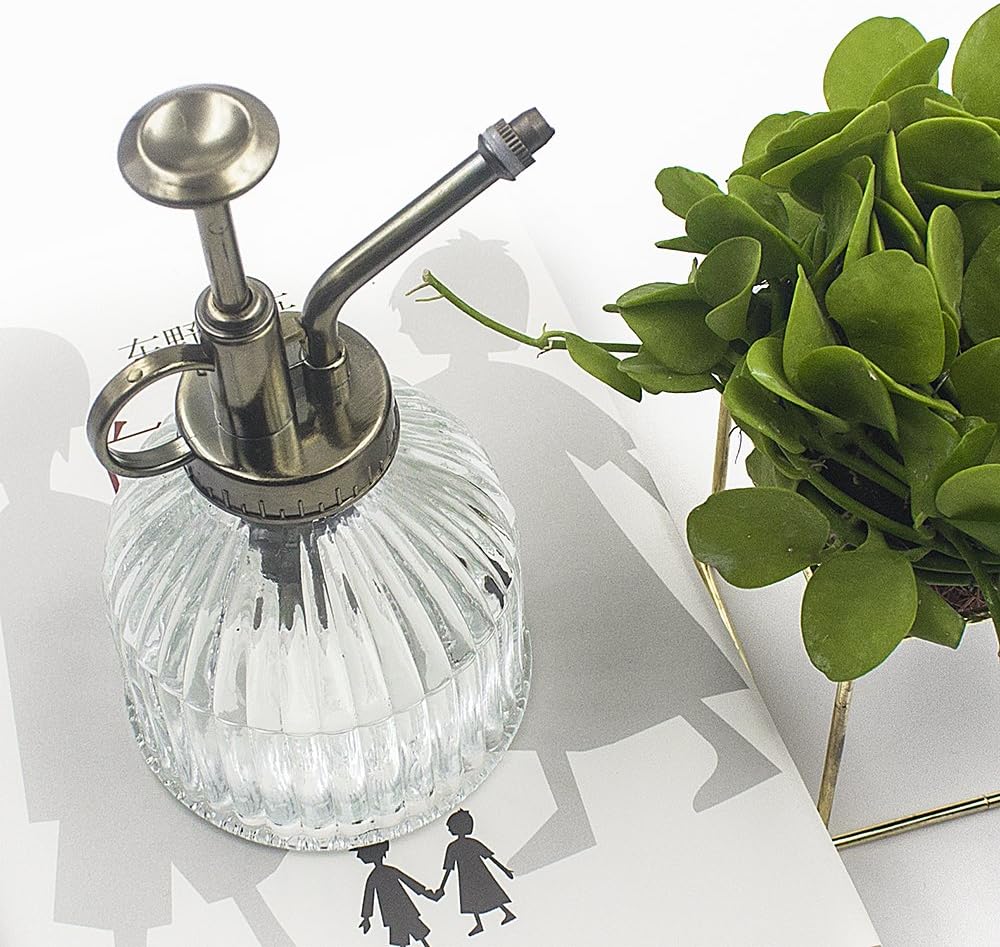 Glass Plant Mister Water Spray Bottle, 200 ML Glass Plant Spritzer Mister Bottle, Vintage Style Glass Succulent Watering Bottle with Top Pump, Plant Sprayer Mister for Indoor Plants - Clear