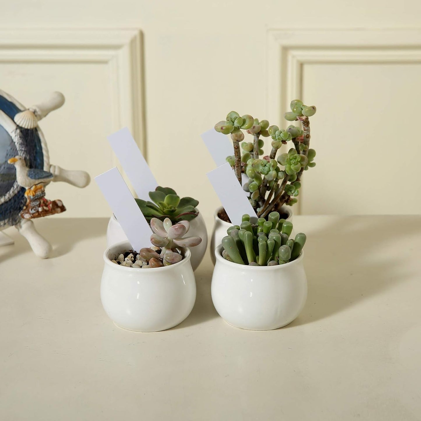 1000 Pcs Plant Tags, 4 Inch Plastic Garden Plant Pot Markers Waterproof Plant Label, White