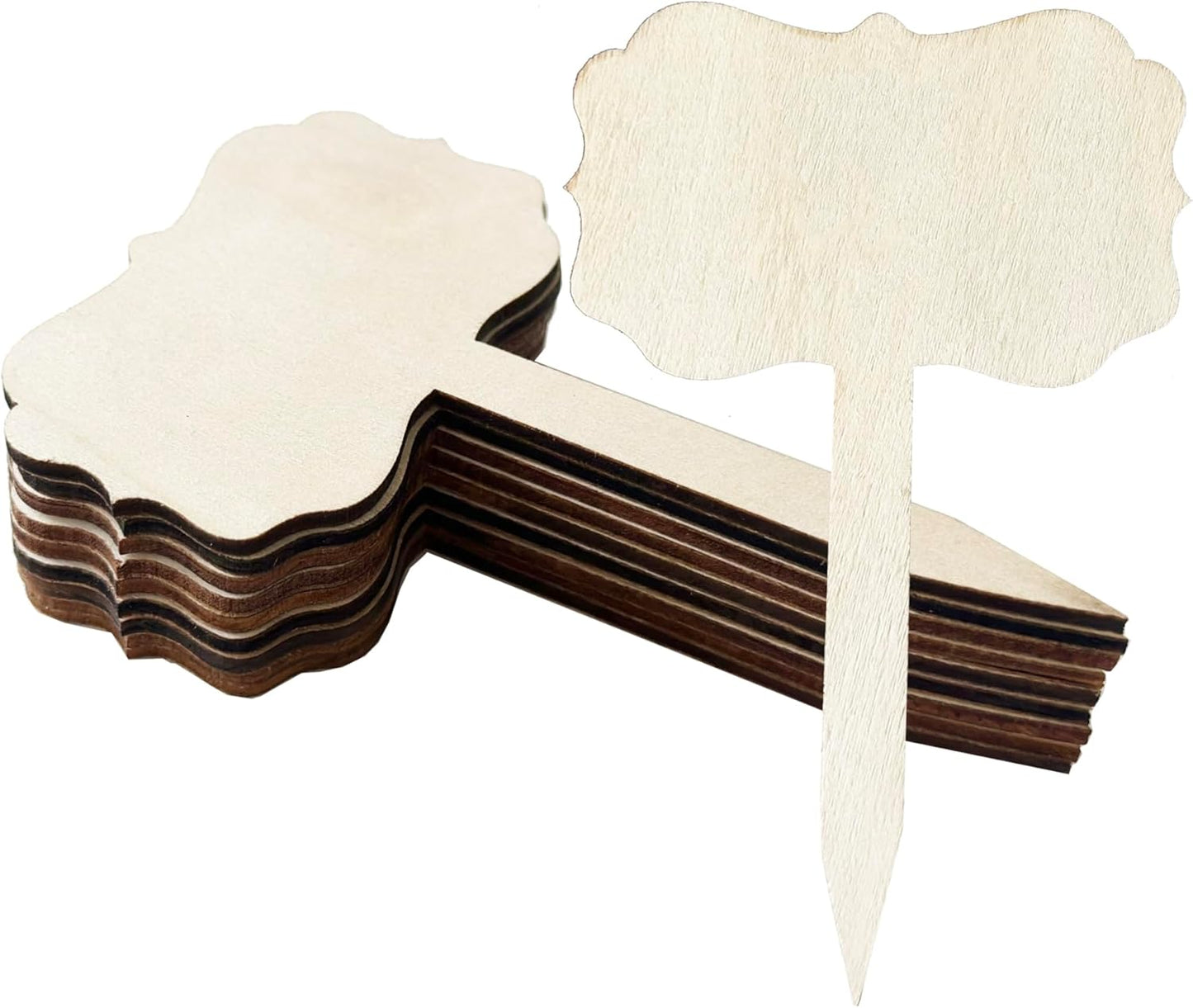 100 Pcs Wood Plant Labels, Natural Wooden Plant Marker Garden Sign Tags, T-Type Garden Markers for Succulents, Herbs, Seedlings, Potted, Flowers, Vegetables (Polygon)