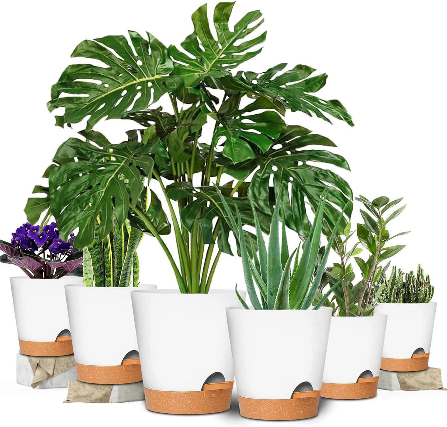 GARDIFE Plant Pots 8/7/6.5/6/5.5/5 Inch Self Watering Planters with Drainage Hole, Plastic Flower Pots, Nursery Planting Pot for All House Plants, African Violet, Flowers, and Cactus,White
