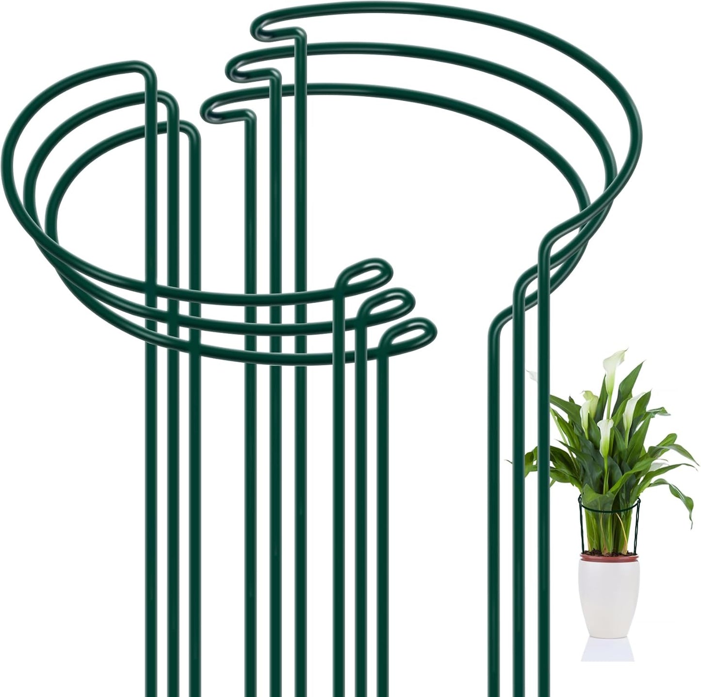 FEED GARDEN 6 Pack Plant Support Stakes, Metal Garden Plant Stake(10" Wide x 16" High) Green Half Round Plant Support Rings for Potted Plants, Plant Cage for Tomato, Hydrangea