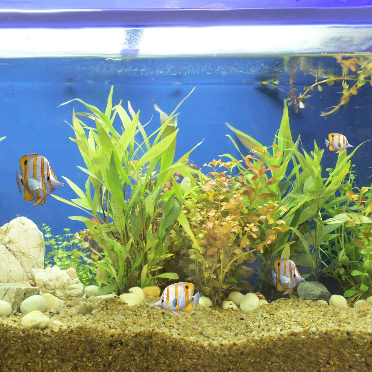 10lbs Aquarium Gravel, 1/16"(0.6-1.2mm) Natural River Rocks Succulent Cactus Pea Gravel for Plants, Fish Tank, Decorative Pebbles for Gardening, Flower Pots, Vase Fillers, Landscaping