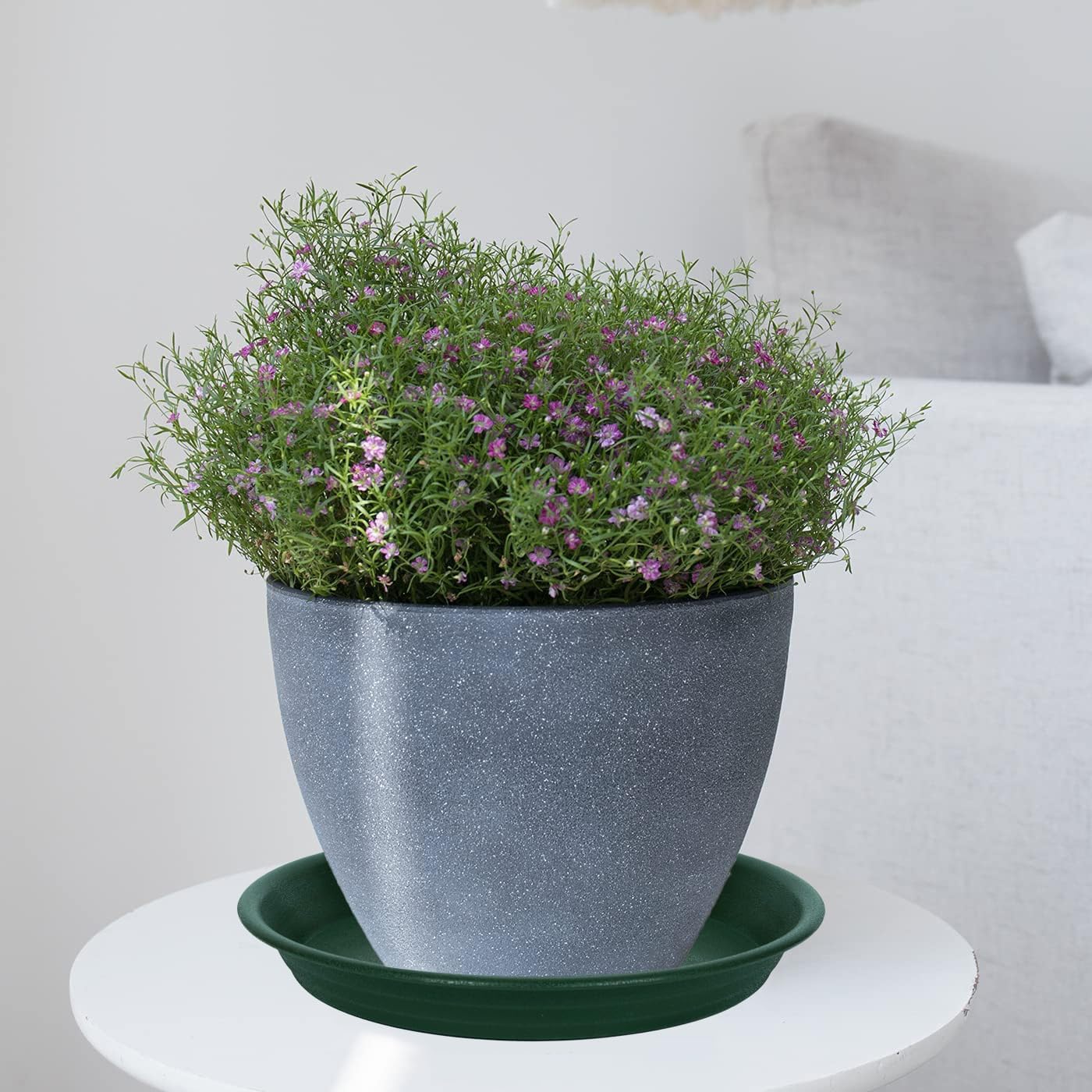 2 Pack Plant Saucer Drip Tray 11 12 inch, Pot Base for Plants Indoor, Plastic Flower Planter Saucers and Drip Trays for Outdoors, Heavy Durable Plant Plate Water Catcher (12", Dark Green)