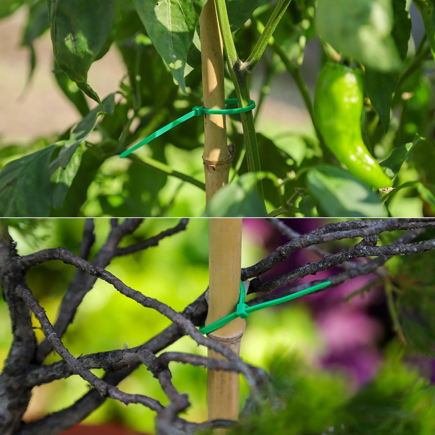 8 inch Green Zip Ties, Nylon Garden Cable Zip Ties Self Locking Cable Ties Twist Ties, Multi-Purpose Cable Tie (100 Pcs)