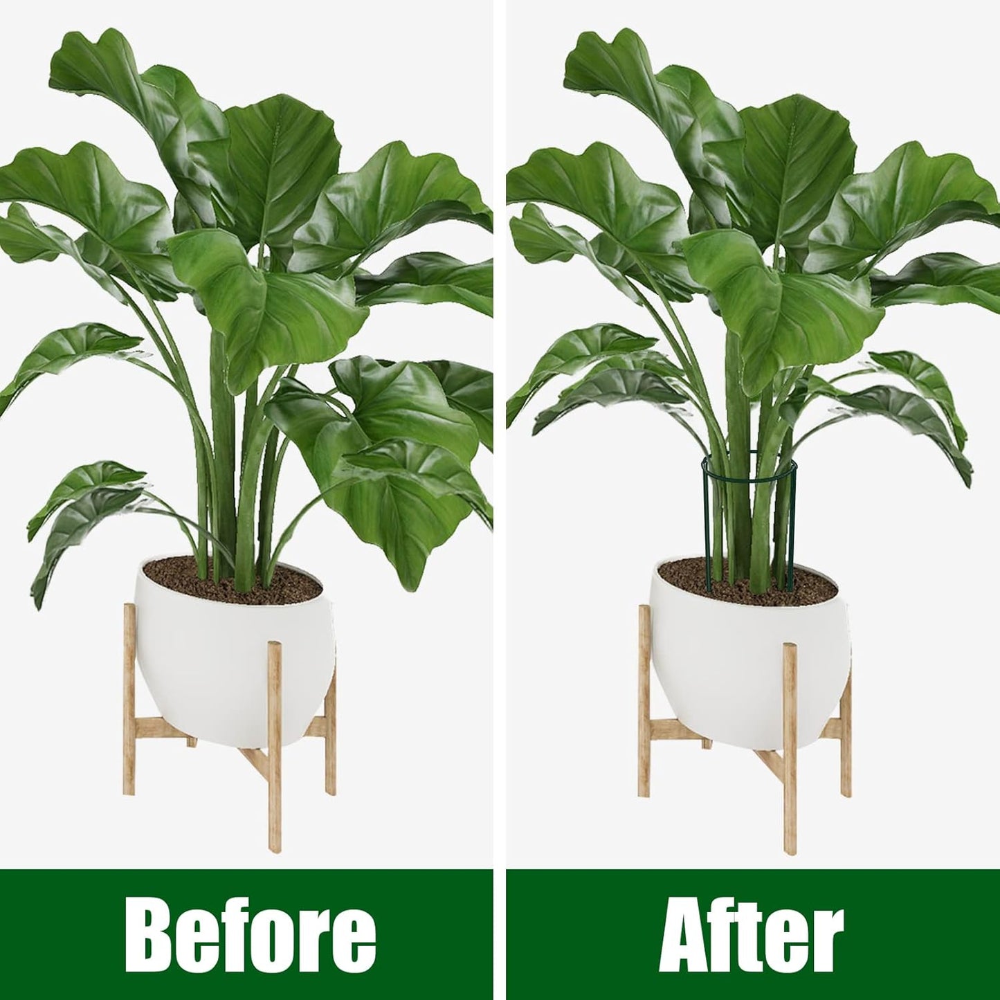 FEED GARDEN 8 Pack Plant Support Stakes, Peony Cages and Supports, Metal Garden Plant Stake(10" Wide x 24" High) Green Half Round Plant Support Rings for Outdoor Indoor Plants, Tomato, Hydrangea