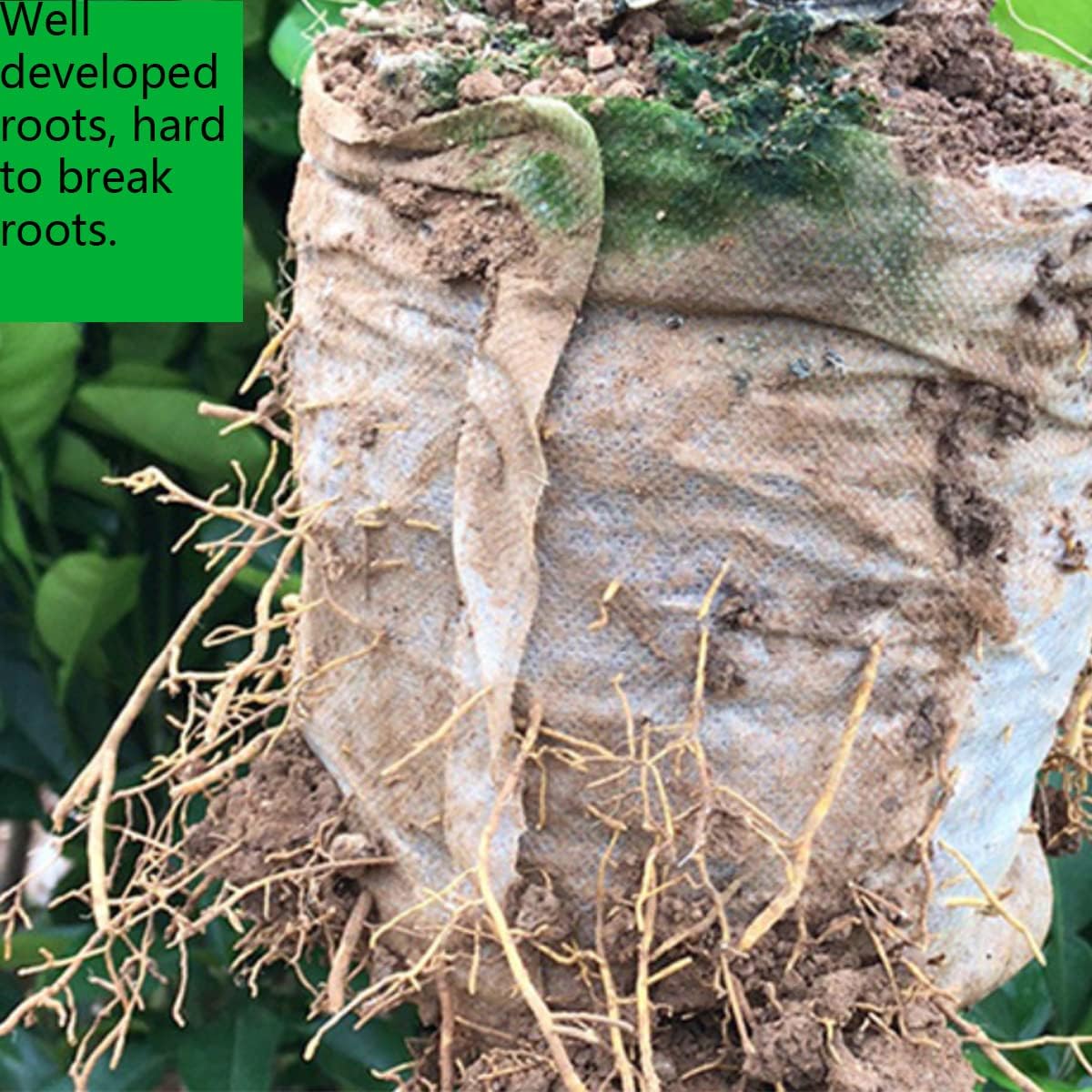 gardtree Plant Nursery Bags 6.3” x 7” 400PCS, Non-Woven Biodegradable Plant Grow Bags Fabric Seedling Starter for Vegetable Flower Fruit Saplings Tree, Home Garden Supply