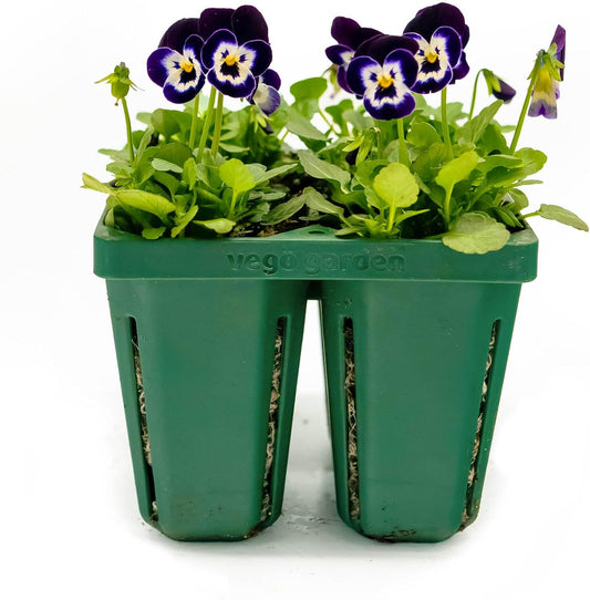 Vego garden Jumbo Seedling Trays Without Lids, 64 Pack Reusable Propagator Growing Starter Tray for Larger Plants, Heavy-Duty Plastic Germination Trays (4-Cell per Tray)