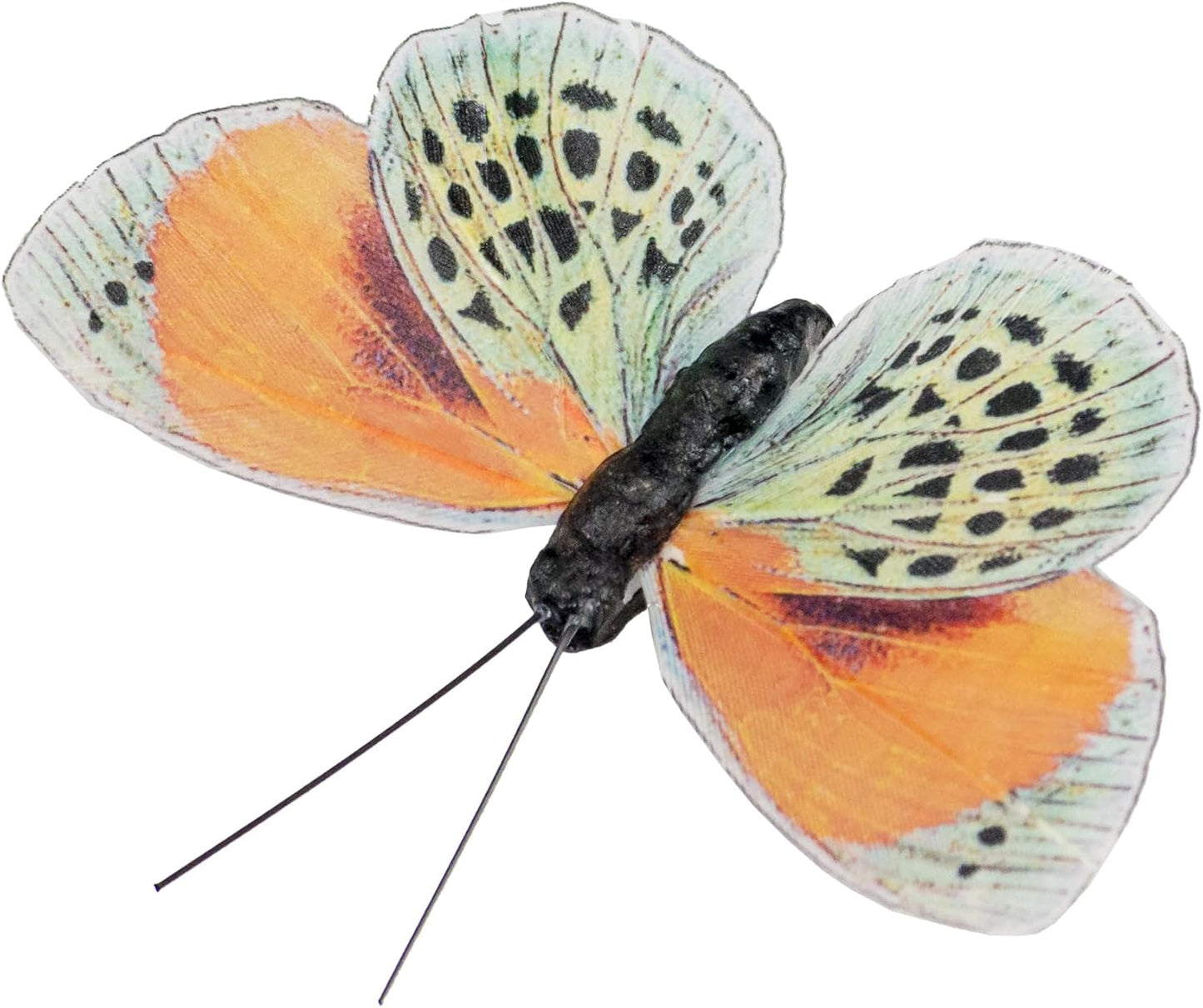 Berfutall-Artificial Feather 3D Butterfly Party Decorations Set of 12 Color Ornaments for Christmas Tree(C)…