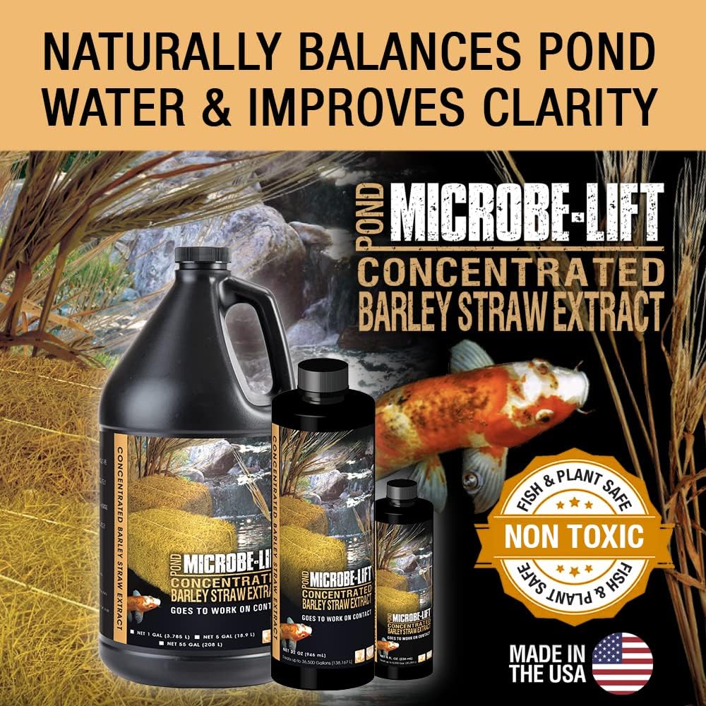 MICROBE-LIFT ALGA32 Algaway 5.4 Algae Control Treatment for Ponds and Water Gardens, 32 Ounces & MLCBSE1L Concentrated Barley Straw Extract Conditioner for Ponds and Outdoor Water Garden,32 Ounces
