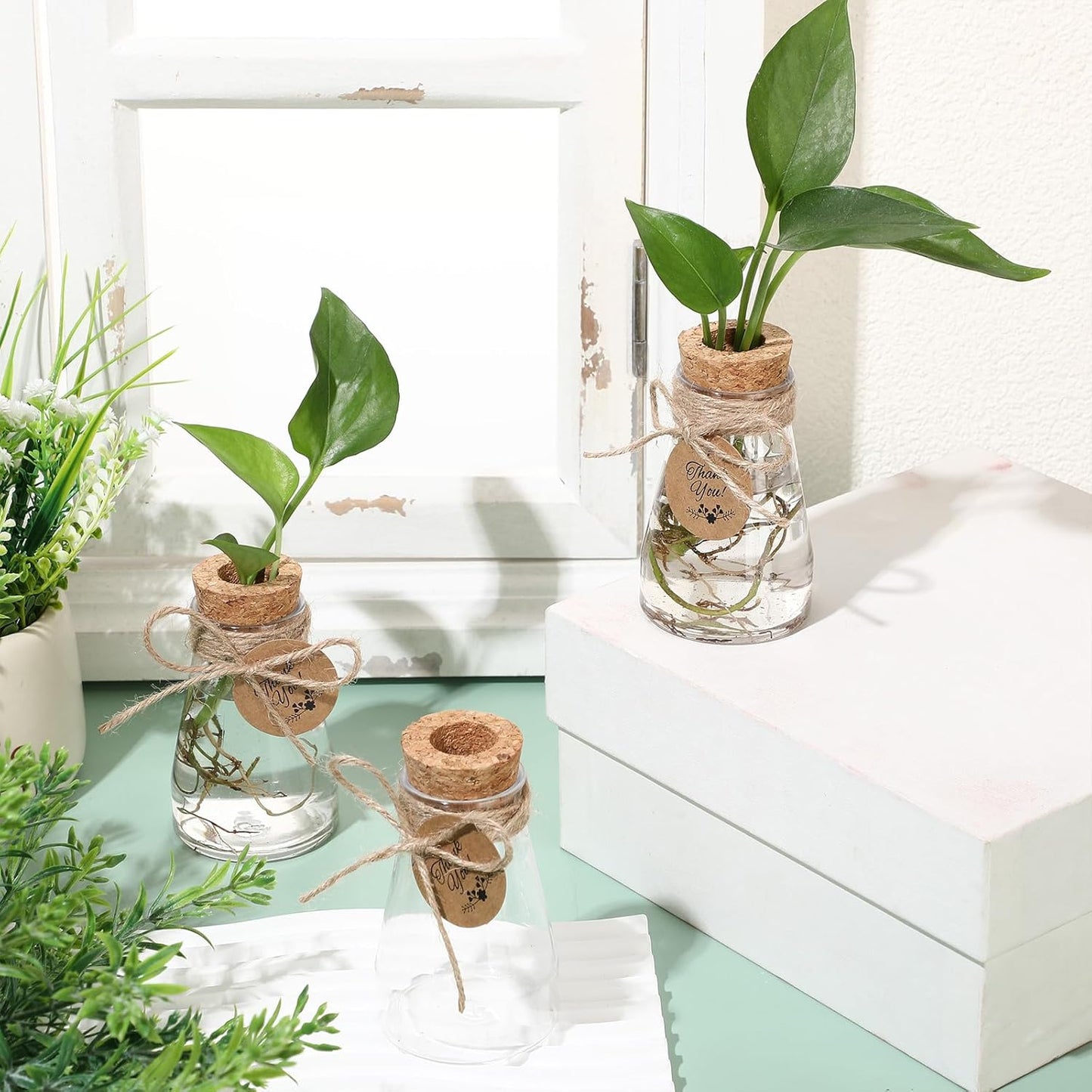 Baderke 3.35'' Plastic Plant Propagation Stations with Hole Lid Planter Vase Clear Propagation Jars with Thank You Tags for Plant Lover Gifts for Women Office Home Garden(12 Pack,Cute)