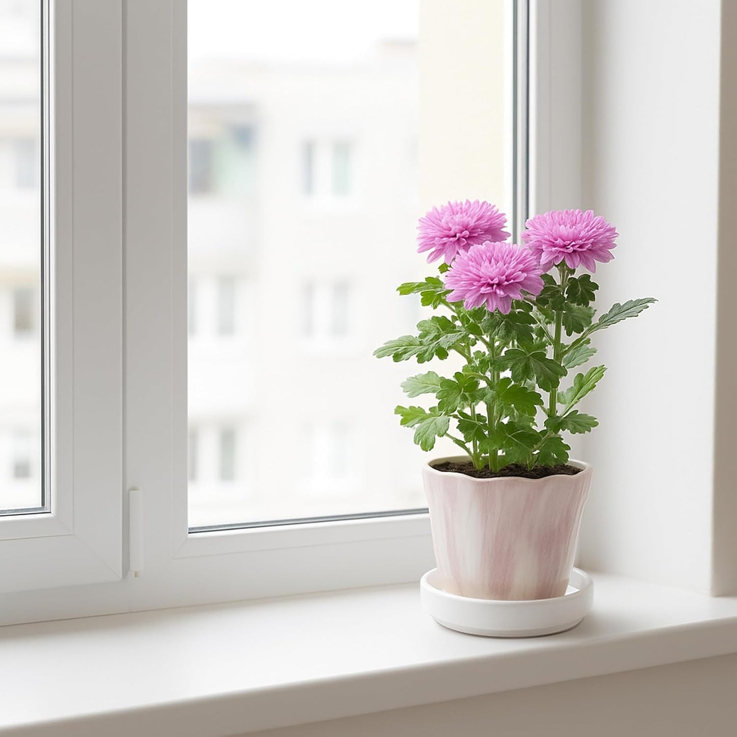 D'vine Dev Modern Round 3.7 Inch Ceramic Plant Pot Saucer, Planter Pot Drainage Tray for Indoor Plants, Matte White, 97-T-A-1