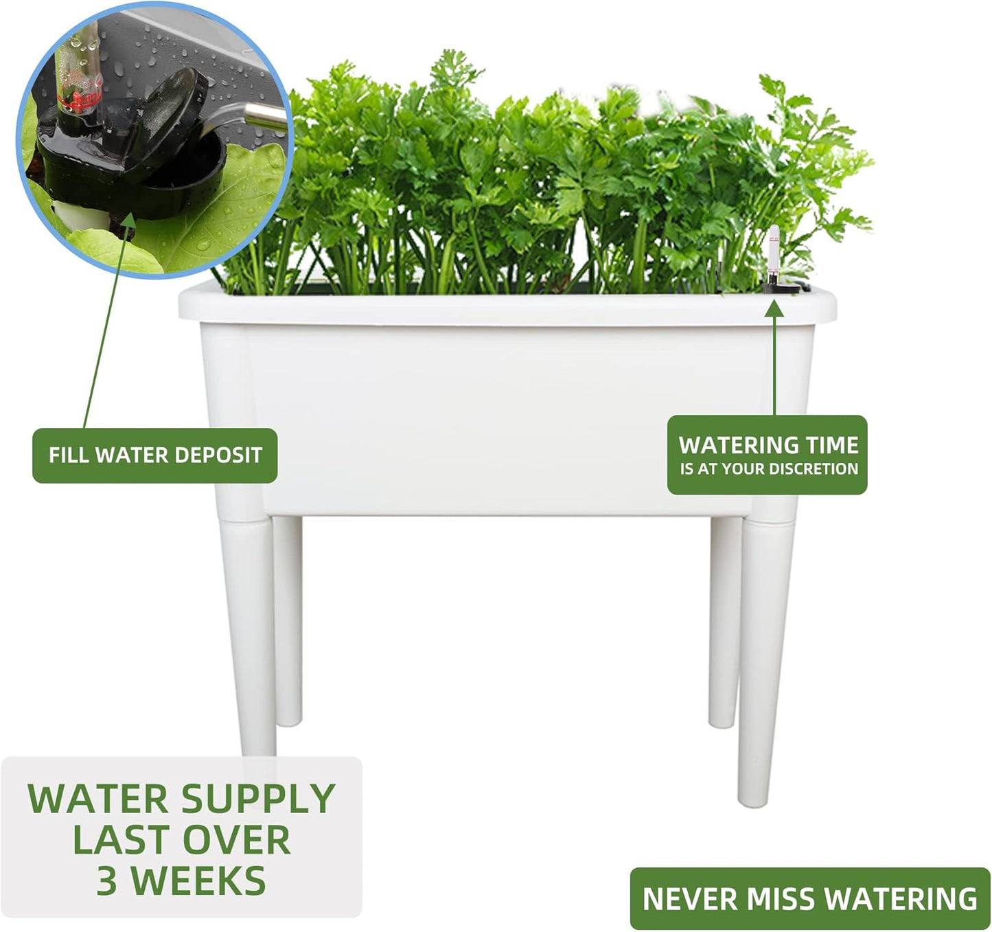 Dexceder 13.2 Gallon Self Watering Raised Garden Bed with Ventilation Transparent Lid Greenhouse, Deepen Vegetable Flower Box Planter Pot with Removeble Legs & Water Level Indicator (White)