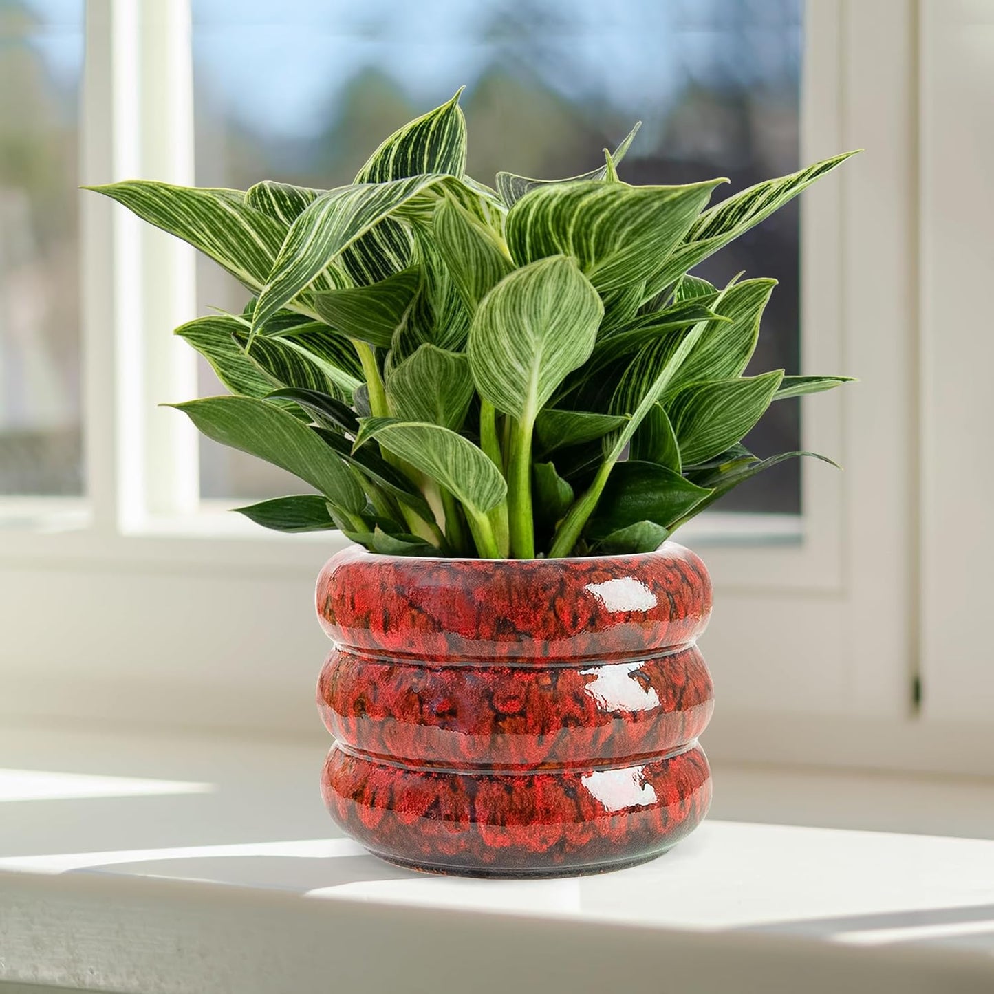 Ceramic 6 inch Plant Pot - Planter for Indoor Plants with Drainage Hole, Flower Pots for Orchid, Succulent,Outdoor Plants, Modern Glaze Planters for Home Office Decor Gift