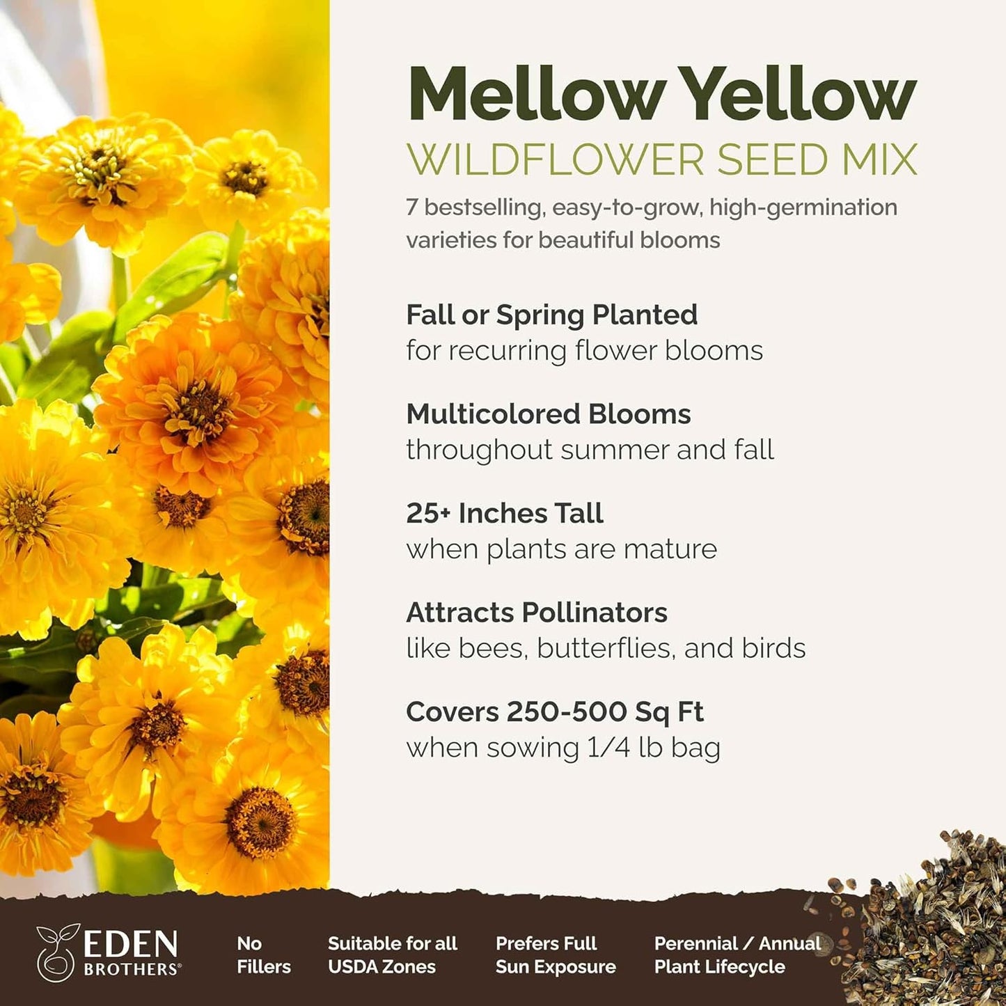 Eden Brothers Mellow Yellow Flower Mixed Seeds for Planting, 1/4 lb, 120,000+ Seeds with Painted Daisy, Zinnia, Cosmos | Attracts Pollinators, Plant in Spring or Fall, Zones 3, 4, 5, 6, 7, 8, 9, 10