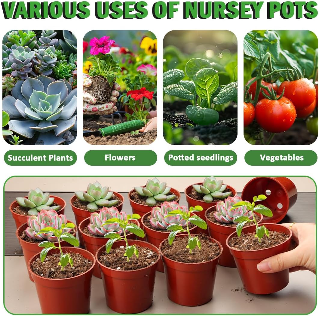 100-Pack 2.5 inches Plus Tiny Round Plant Pots Succulent Seedling Nursery Pots Made from Virgin Grade PP Material(Tiny, 68mm2.5 inch)