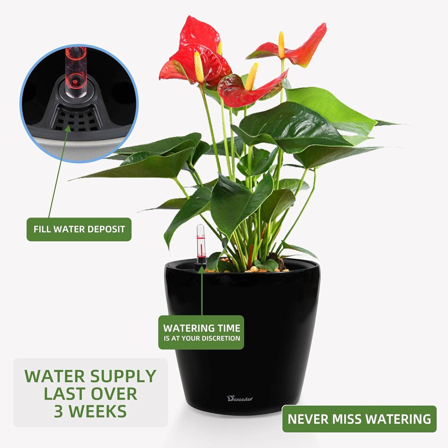 Dexceder 9x8 Inches High Gloss Self Watering Planter Indoor Outdoor, Inner Pot Design, Thickened Table Flower Plant Pot with Water Level Indicator (Black)