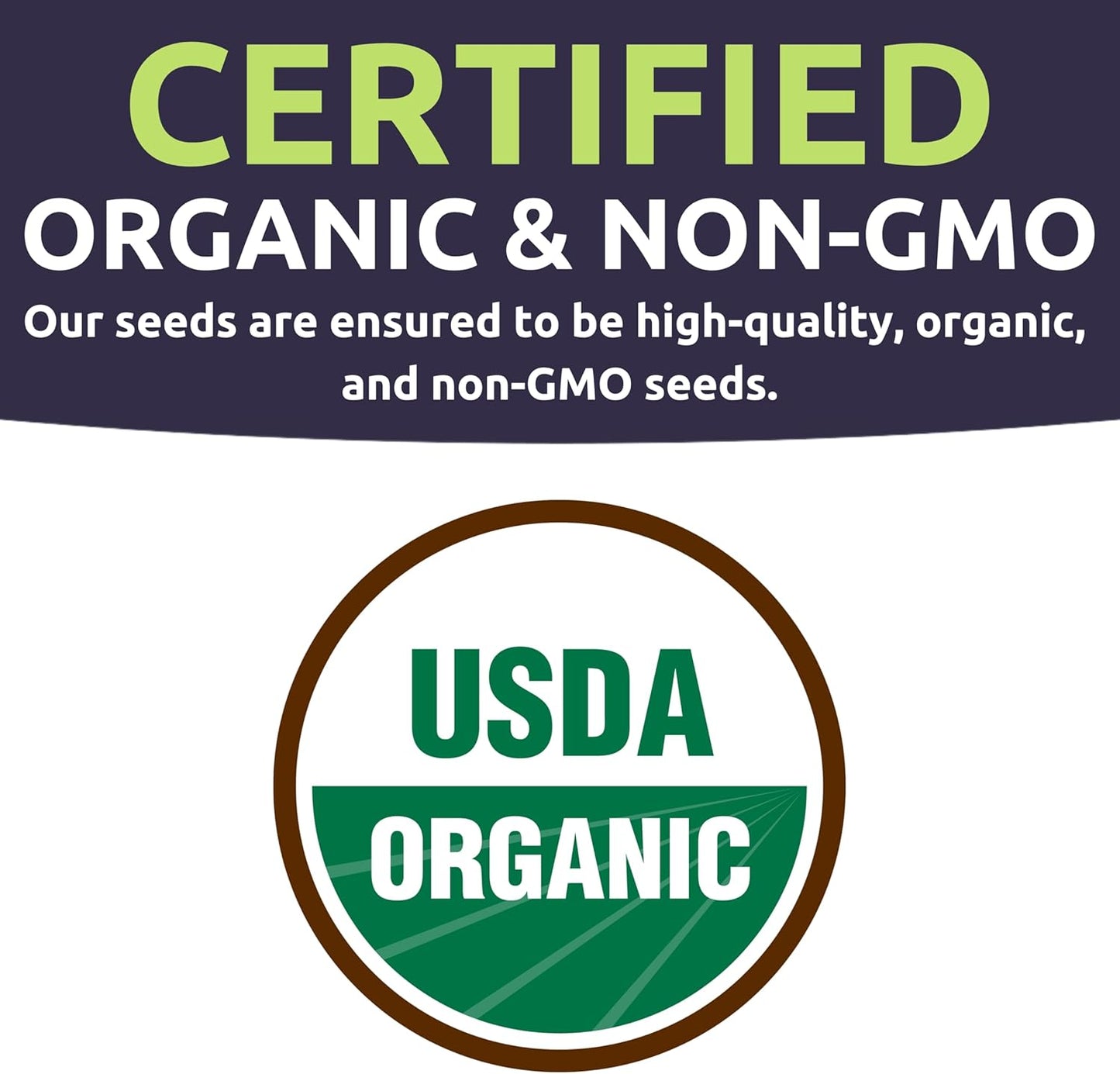 Organic Herb Seeds Variety Pack - 35 Individual Packs - 2025 Season - Basil, Cilantro, Dill, Thyme, Parsley and More! for Indoor & Outdoor Planting (Non-GMO, Certified Organic)