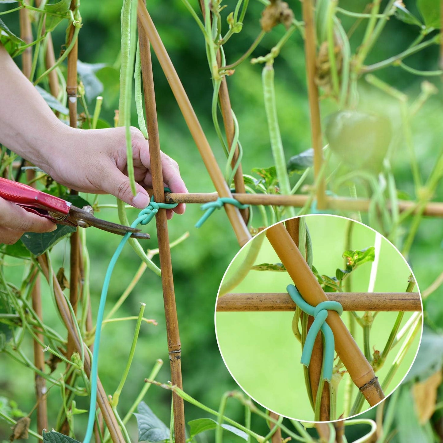 YDSL Soft Plant Tie, Garden Wire Tie for Plants Heavy Duty Reusable Plant Twist Ties for Gardening Home Office (Green, 32.8 feet)