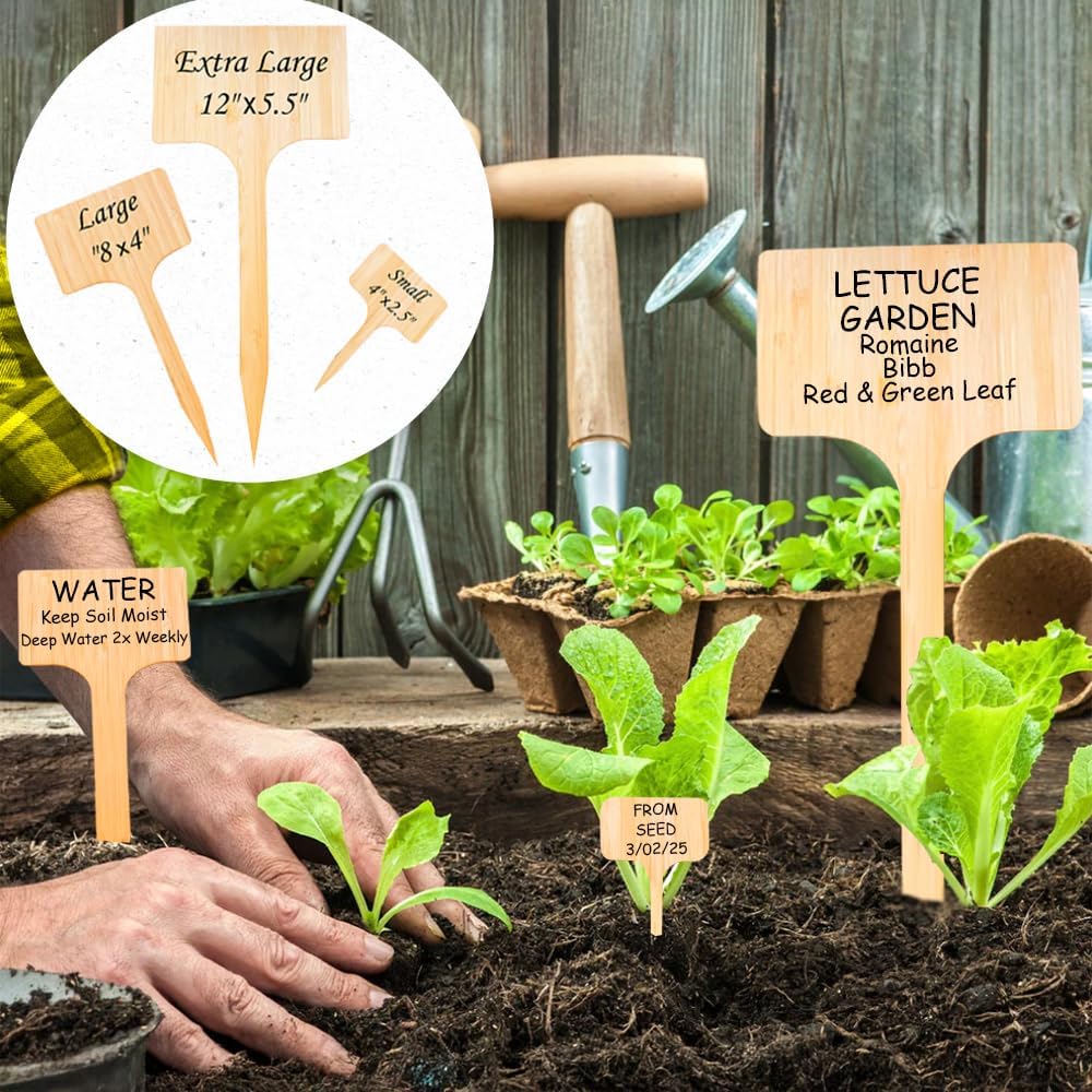 100 Pcs Large 8" Tall Garden Label Plant Signs Eco-Friendly Compostable to Easily Identify Plants, Seeds, Bulbs, Flowers, Vegetables