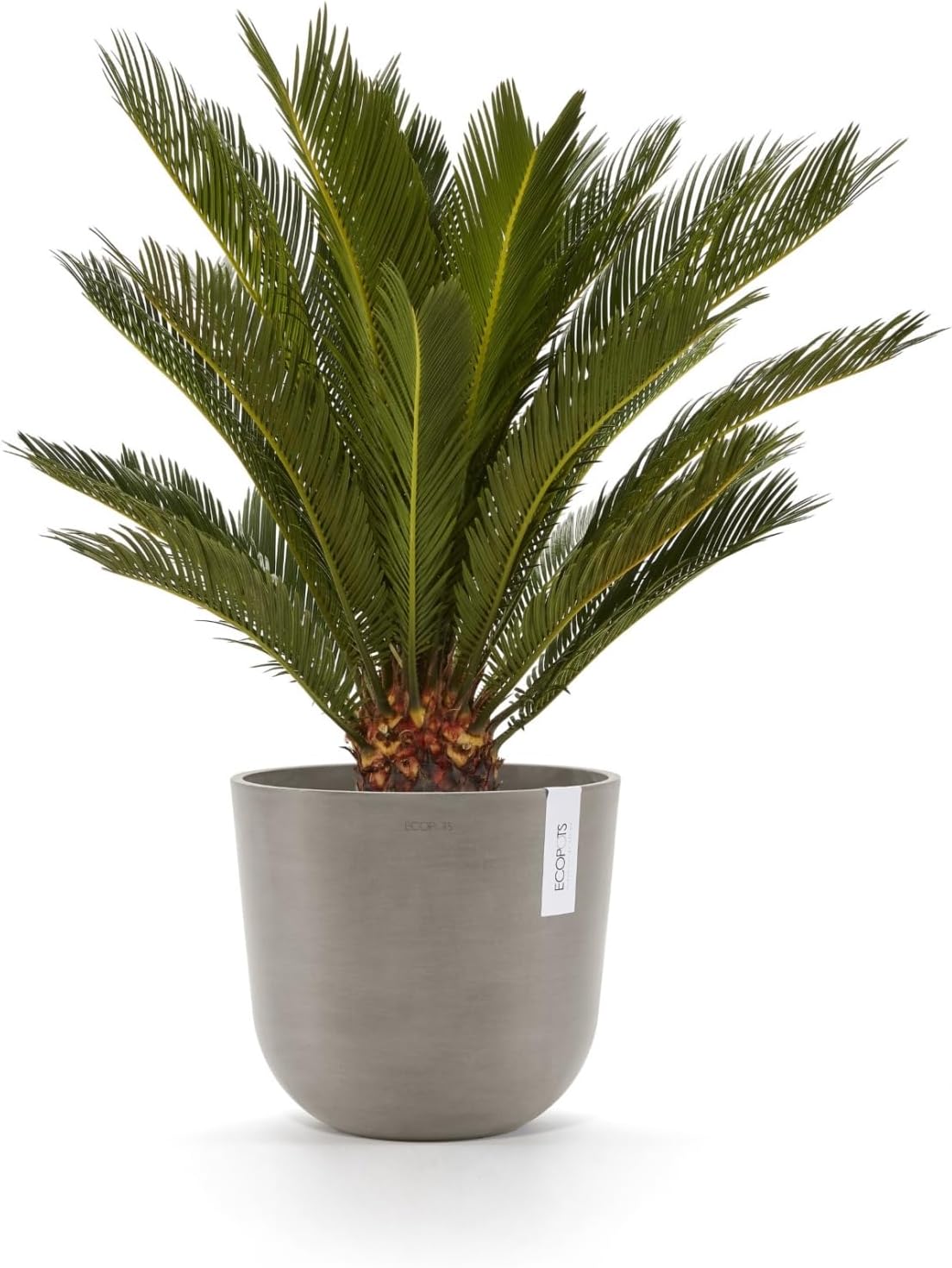 Ecopots Oslo Durable Modern Round Indoor/Outdoor Recycled-Based Composite Flower Pot Planter, Taupe, 10"