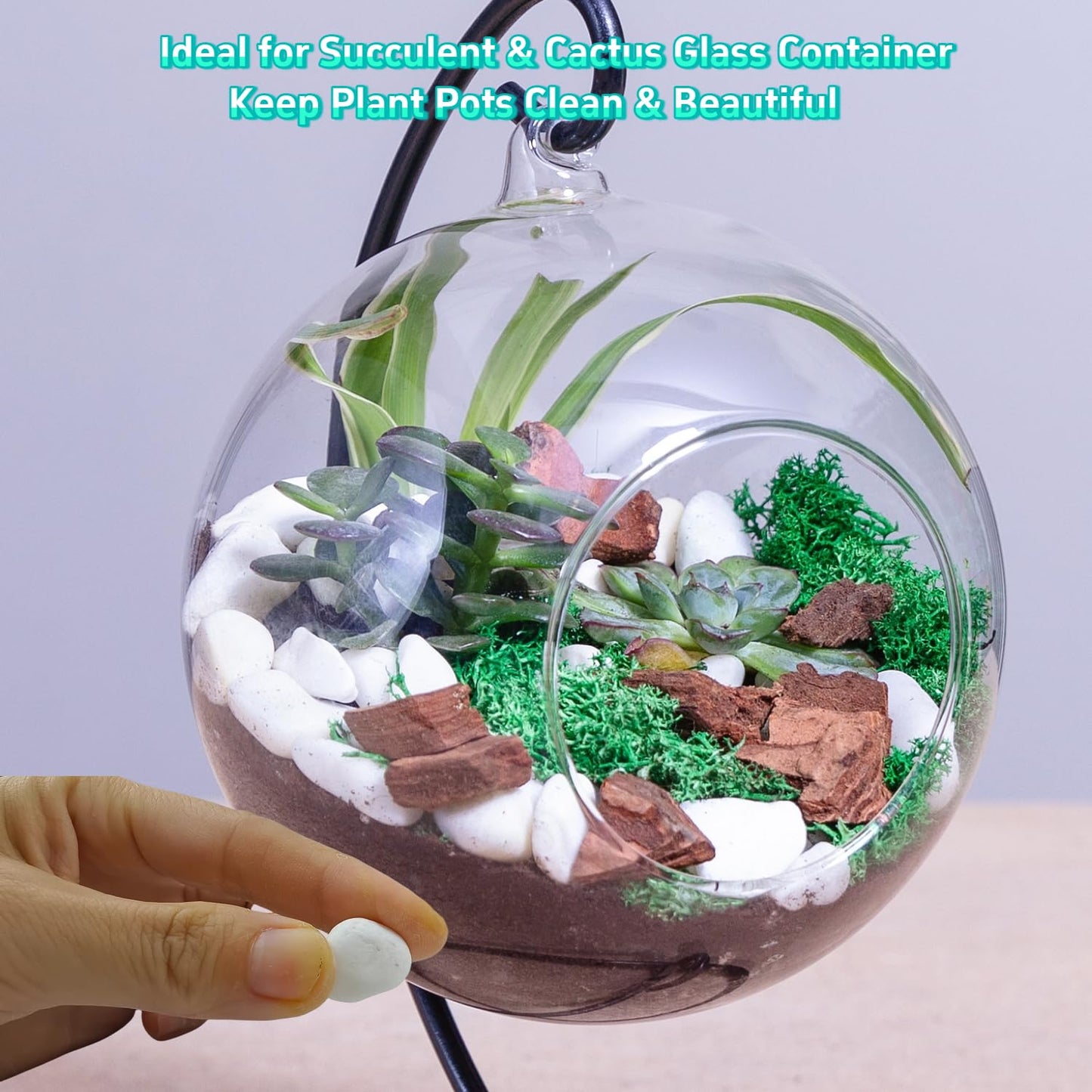 5 LB Natural White Gravel for Plants, Succulents & Cactus, Aquarium, Fish Tank, 0.6 inch Small White Pebbles for Vases, Rocks for Landscaping, Indoor Potted Plants, Garden and Home Decorative Stones