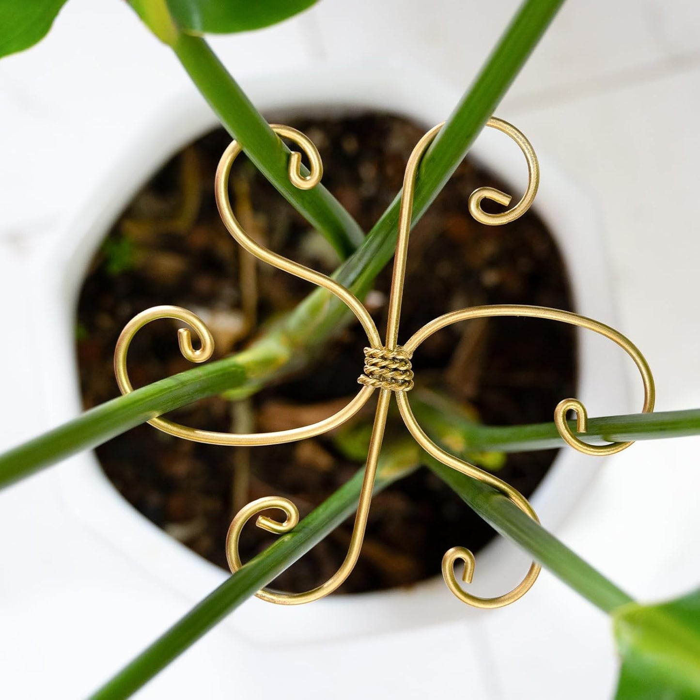 Durable Monstera Plant Support Hooks 5.5in - 5-Piece Set for Indoor Plant Stabilization, Easy-to-Use Grapple Holders for Monstera and Turtle Shell Plants for Plant Lovers
