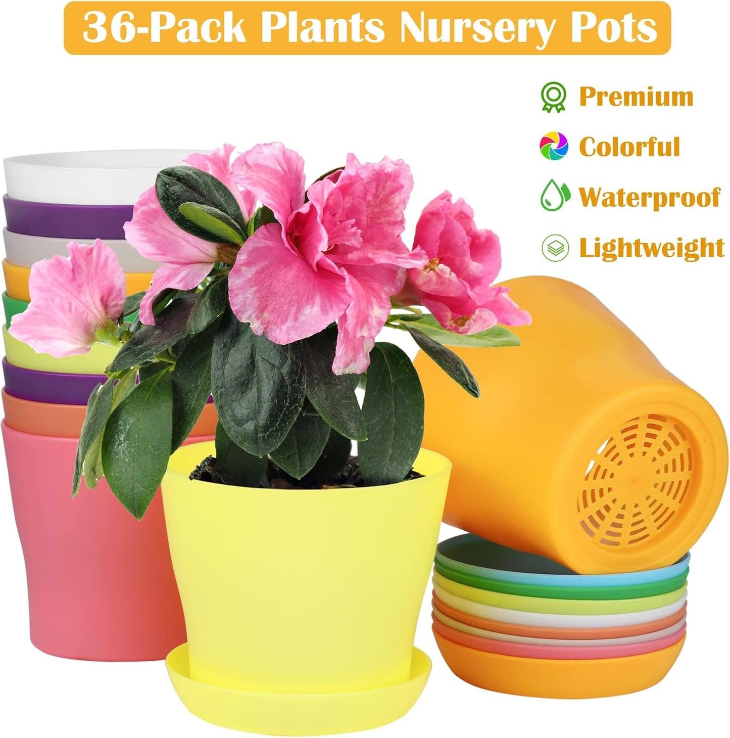 36 Pack 4 Inch Plastic Plant Pots with Saucers Colorful Flower Plant Container Seed Starting Pots Thickened Seedlings Nursery Pots for Home Garden Indoor Outdoor Flowers, 9 Colors