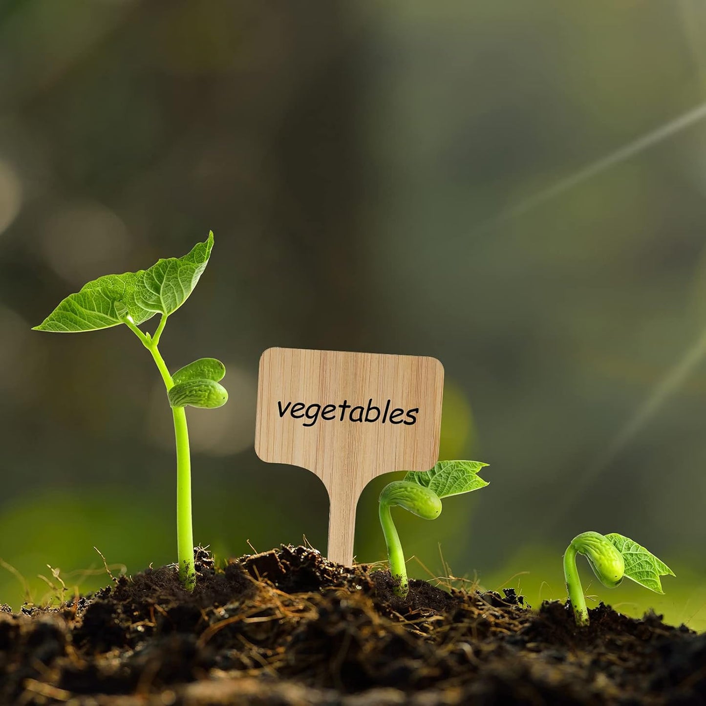 100Pcs Wooden Plant Labels, Eco-Friendly T-Type Bamboo Plant Labels Tags Garden Plant Markers for Seed Potted Herbs Flowers Vegetables (6 x 10 cm)