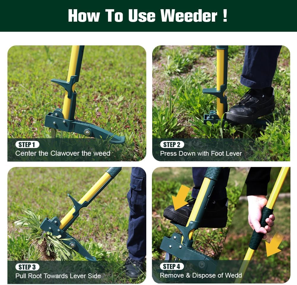 Weed Puller Tool, 50IN Long Handle 4 Claws Stand Up Weeding Tool, Extra Thickened Stainless Steel Shaft Garden Weeder,Remove the Roots of Thistles, Crabgrass, Dandelions, and Blackberries, etc.