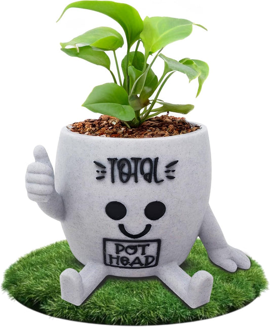 Funny Face Indoor Head Planter Pot, 3D Printed, Unique Small Succulent Flower Pot, Cute Cactus Planter, Indoor Home Decor, Office Desk Plant Pot, Novelty Gardening Gift Set