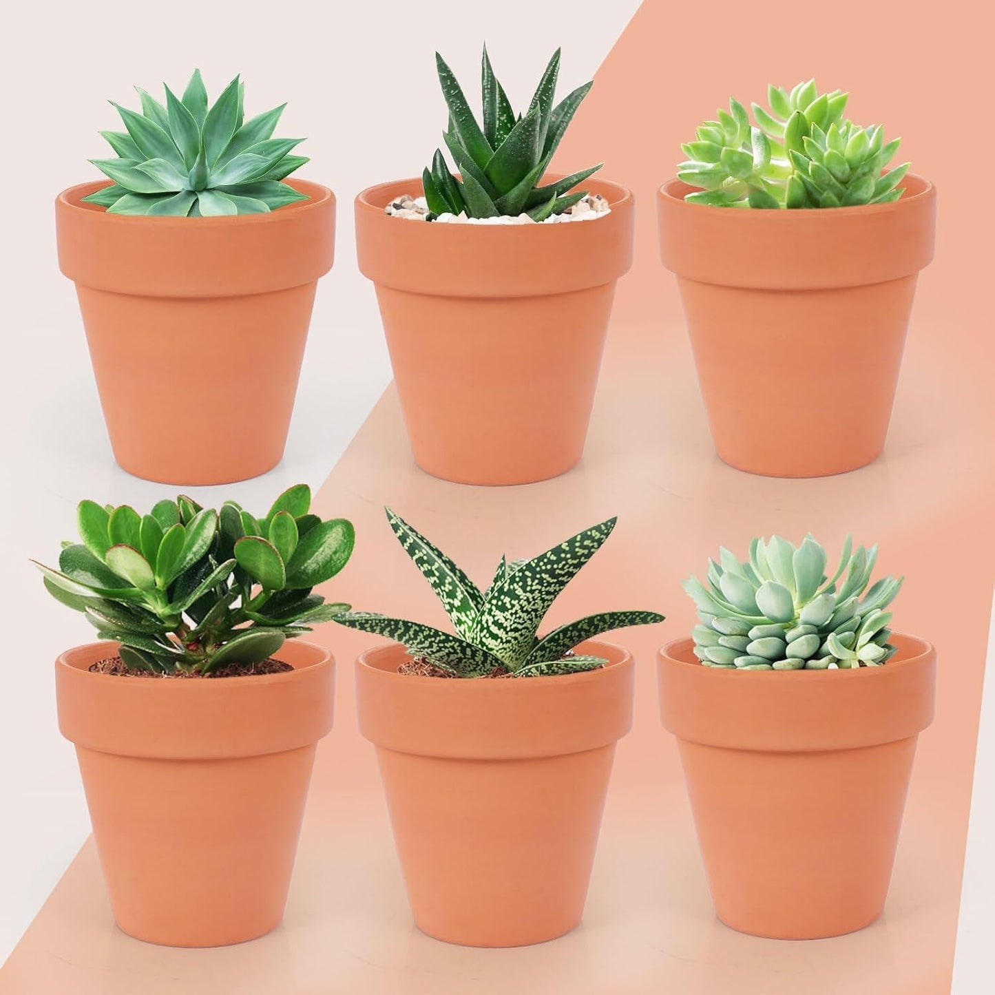 26 Pack Terra Cotta, 3inch Small Clay Flowerpots with Drainage Hole, Terracotta Pot for Indoor Outdoor Plant, Great for Plants, DIY Crafts