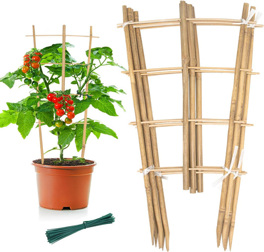 Garden Bamboo Trellis 16 Inch Fan Shaped Small Plant Trellis,Natural Wood Trellis for Climbing Plants Orchid Monstera Indoor Potted Plants-3 Pack