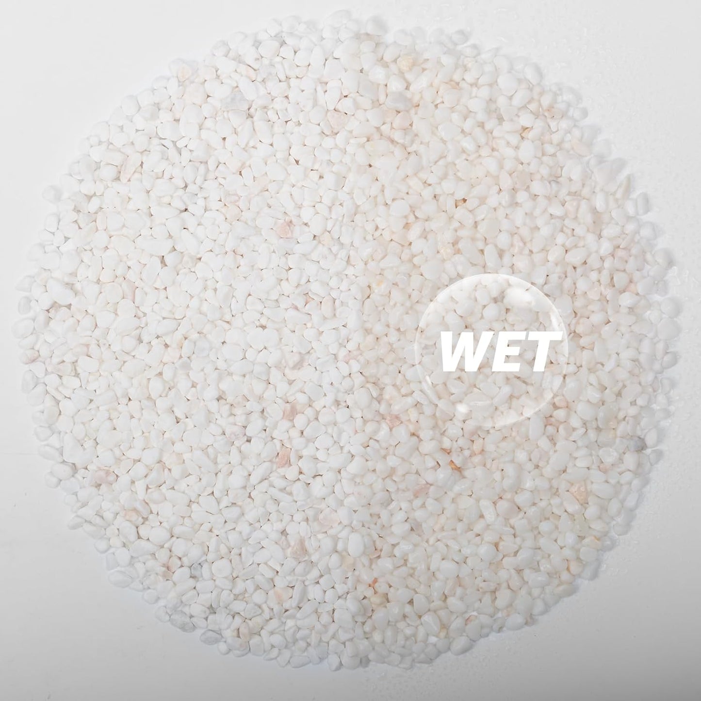 1/5 Inch White Succulent Cactus Gravel, 5 lbs – Ideal for Succulent Plant Pots, Vase Fillers, Glass Containers, Aquariums, Patios, and Outdoor Gardening River Stones (White, 5 Pounds)