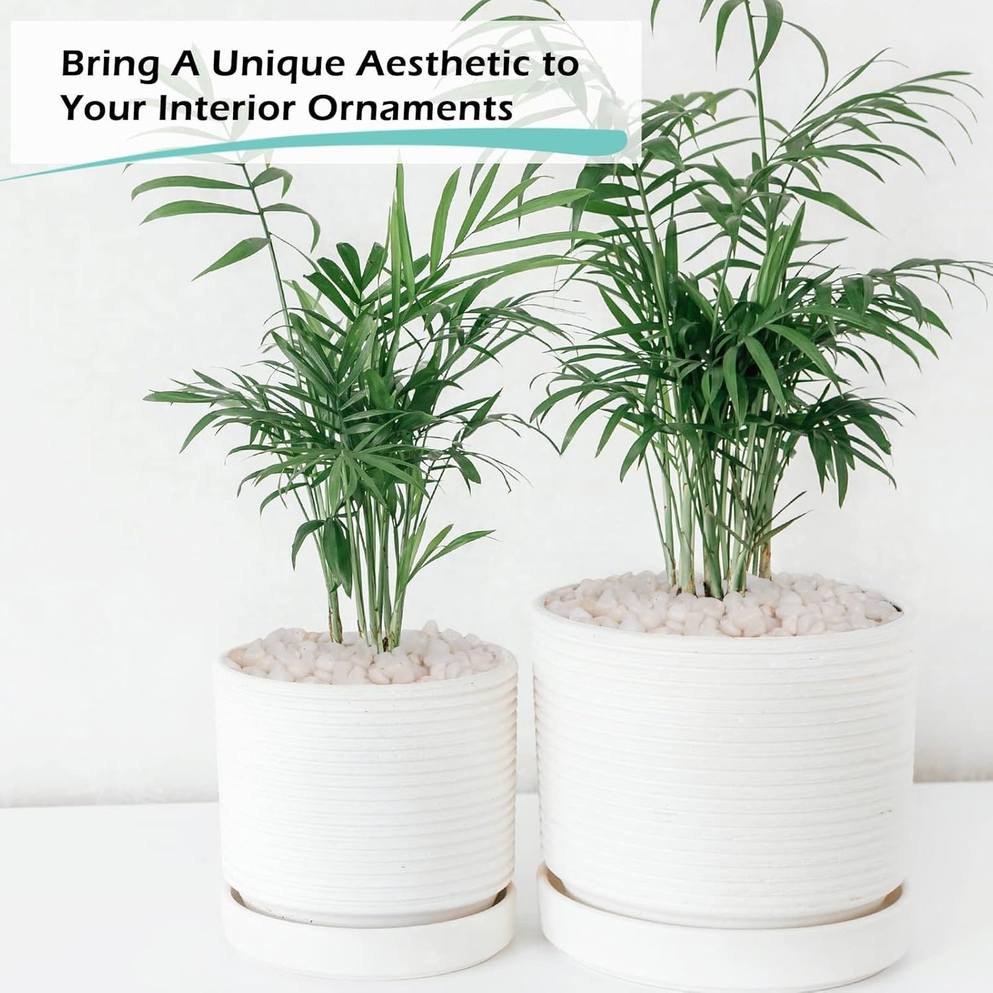 GASPRO 5lb Pebbles for Indoor Plants, Vases, Succulent, 3/8" Small Decorative White Rocks, High Polished