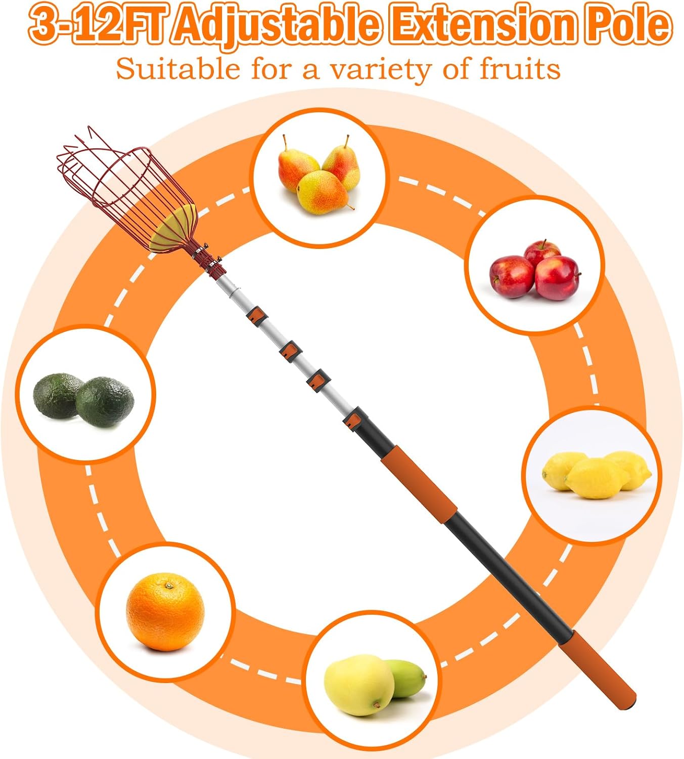SISIUPASSIE 20FT Reach Fruit Picker, Apple Picker Pole with Basket Telescoping Tool for Apple Lemon Orange Mango Avocado Fruit Tree Picking