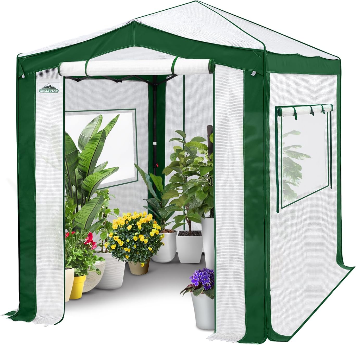 EAGLE PEAK 8x6 Portable Walk in Greenhouse with Polyester Reinforced Corners, Instant Pop Up Indoor Outdoor Gardening Green House, Roll Up Zipper Entry Doors and Mesh Windows, Green/White