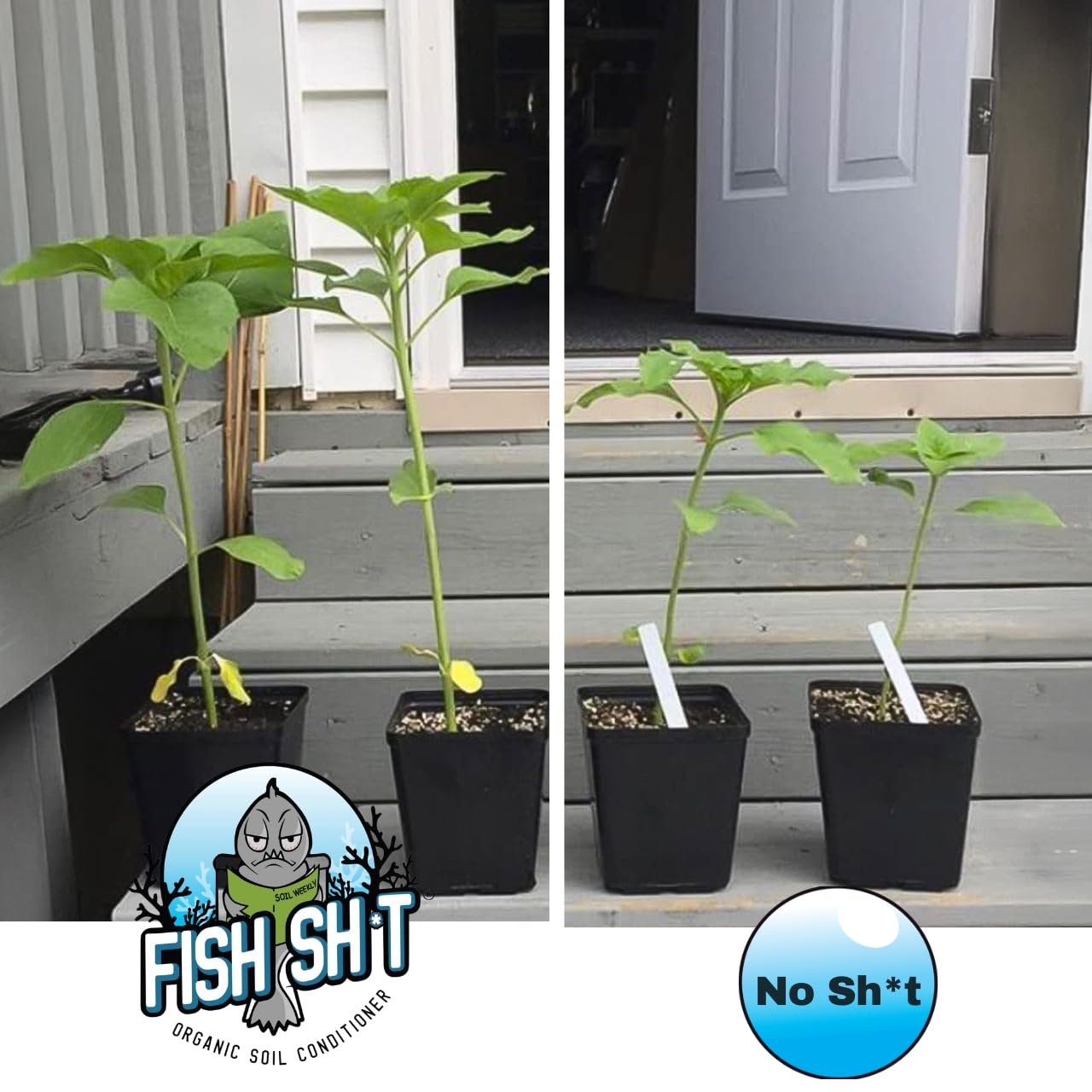 Fish Head Farms Organic Soil Conditioner for Yield and Flavor Enhancement. Improves Fertilizer Efficiency. Useful in Both Garden Soil and Hydroponics Applications (1 Liter with Oregon Spring Tomatoes)