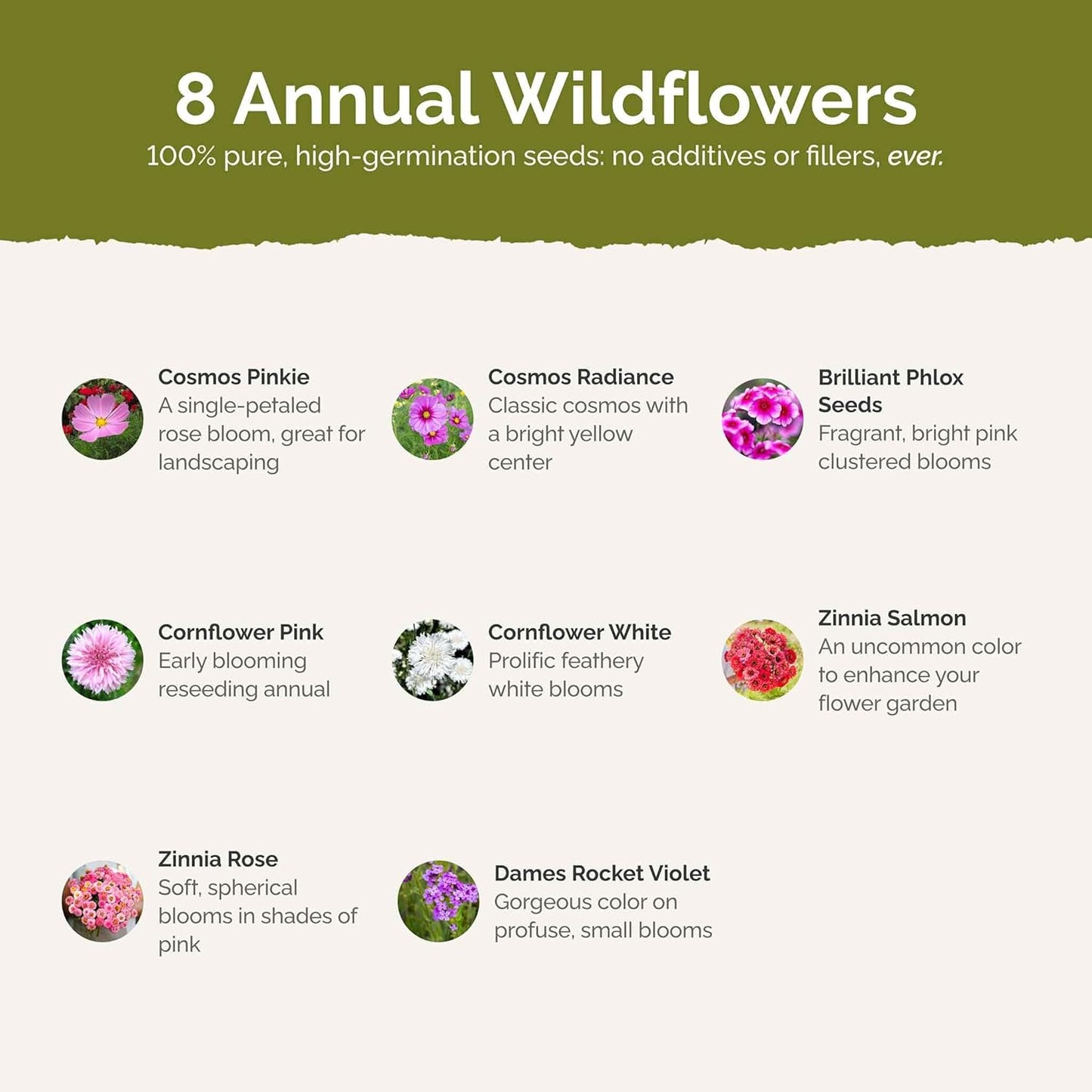 Eden Brothers Tickled Pink Flower Mixed Seeds for Planting, 5 lb, 2,400,000+ Seeds with Cosmos, Cornflower, Zinnia | Attracts Pollinators, Plant in Spring or Fall, Zones 3, 4, 5, 6, 7, 8, 9, 10